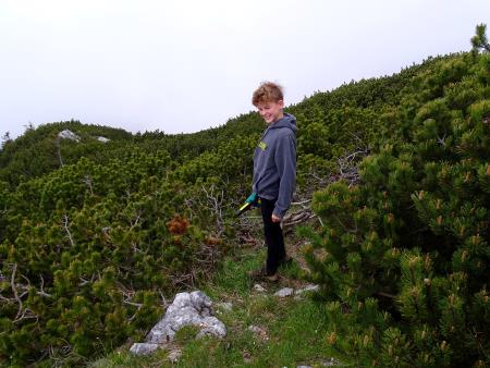 Stara pastirska pot (3)